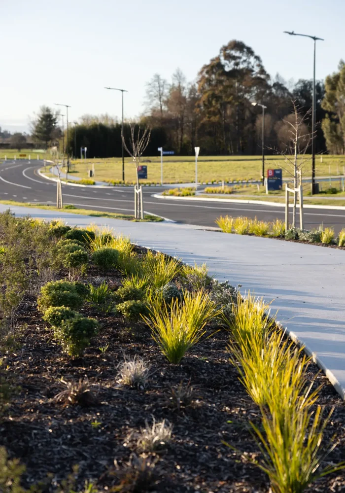 Development-Nous-Brooklands-walking